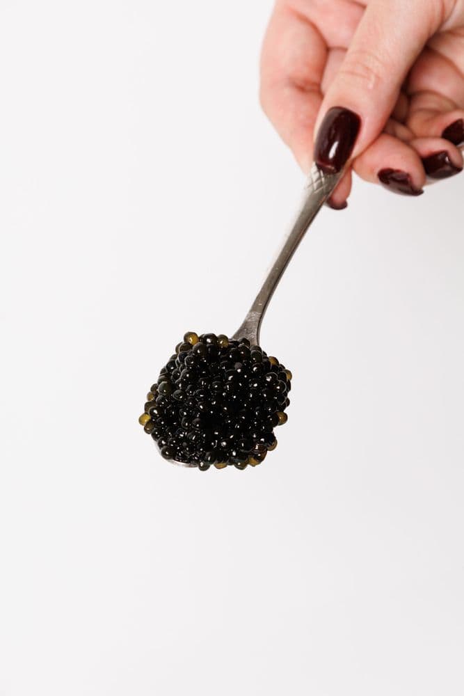 Ікра Веслоніса 2